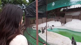 IENF-219,IENF-219 鈴音杏夏 教え子と子作り新婚生活
