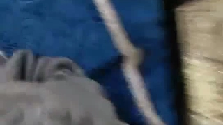 洗涤标志露脸给口，肉吃满口