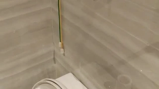 猫语翻译器白胸女神跳蛋大鸡巴疯狂输出